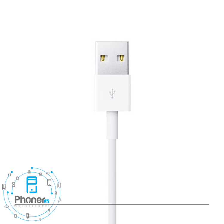 نمای کانکتور USB کابل Apple MQUE2 Lightning to USB Cable